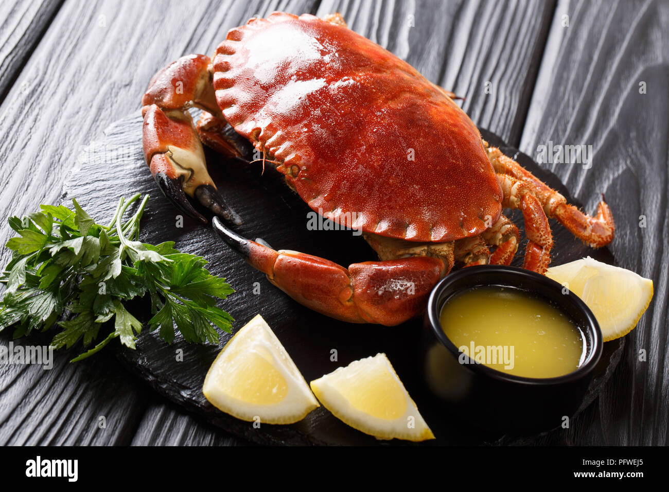 Fisch und Meeresfrüchte Menü: gekochte Delikatesse braun Krabbe mit Soße, Zitrone und Petersilie auf einer Schiefertafel board Close-up auf einem schwarzen Holztisch. Horizontale Stockfoto