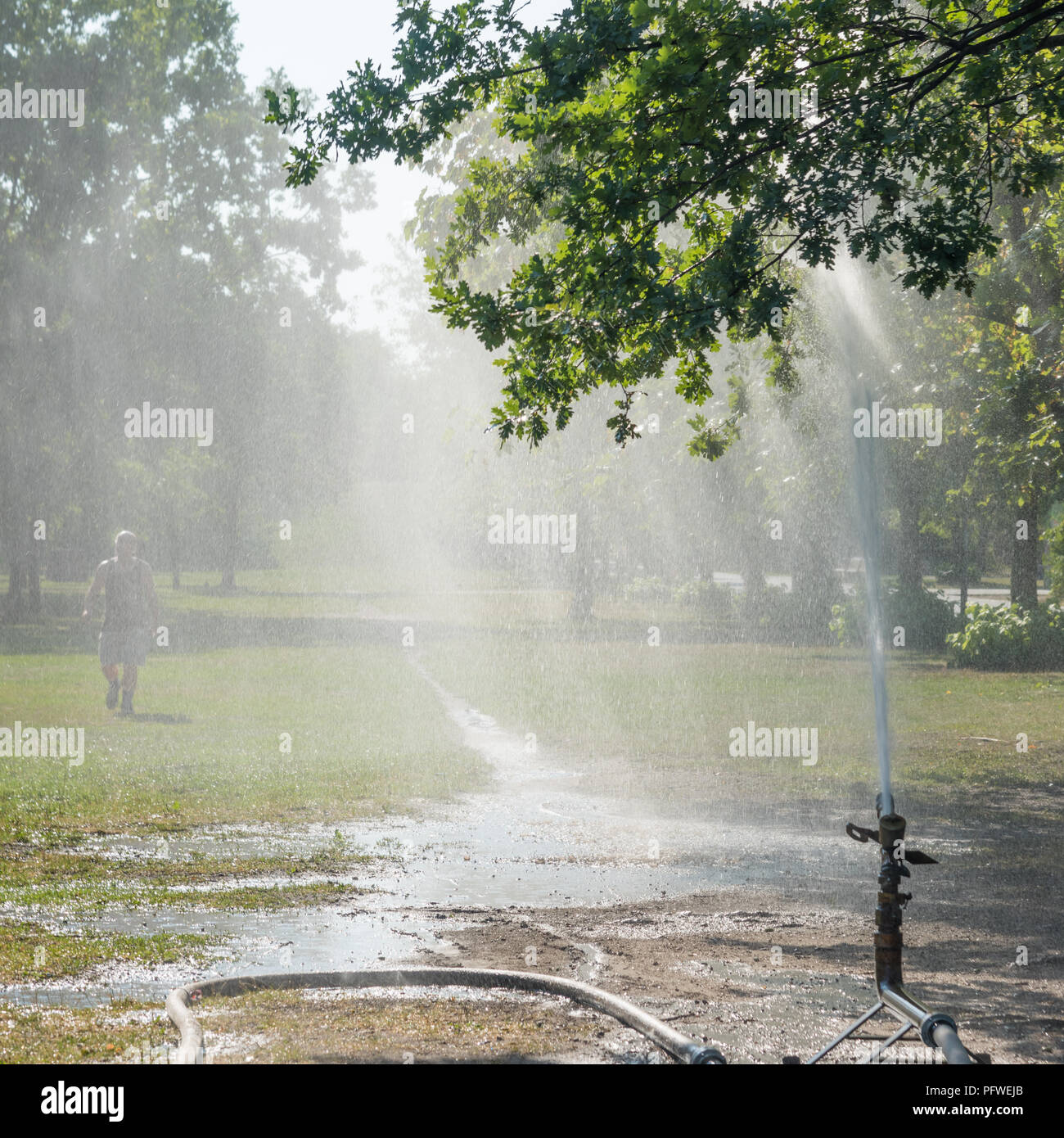 Ein Mann nimmt eine Dusche im Park im Freien Stockfoto
