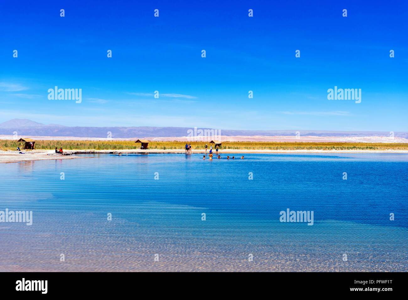 Landschaft in der Atacama-Wüste, Salt Lake, Chile. Kopieren Sie Platz für Text Stockfoto