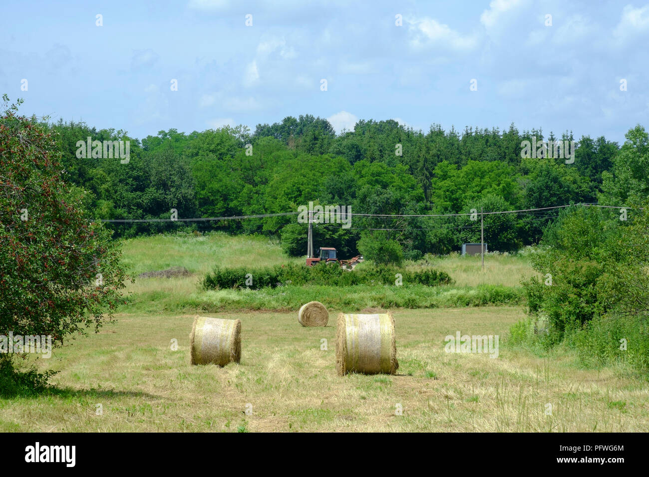 Bauer mit einer roten Traktor im grünen Feld in einem ländlichen Gebiet von Landschaft Zala in Ungarn arbeiten Stockfoto