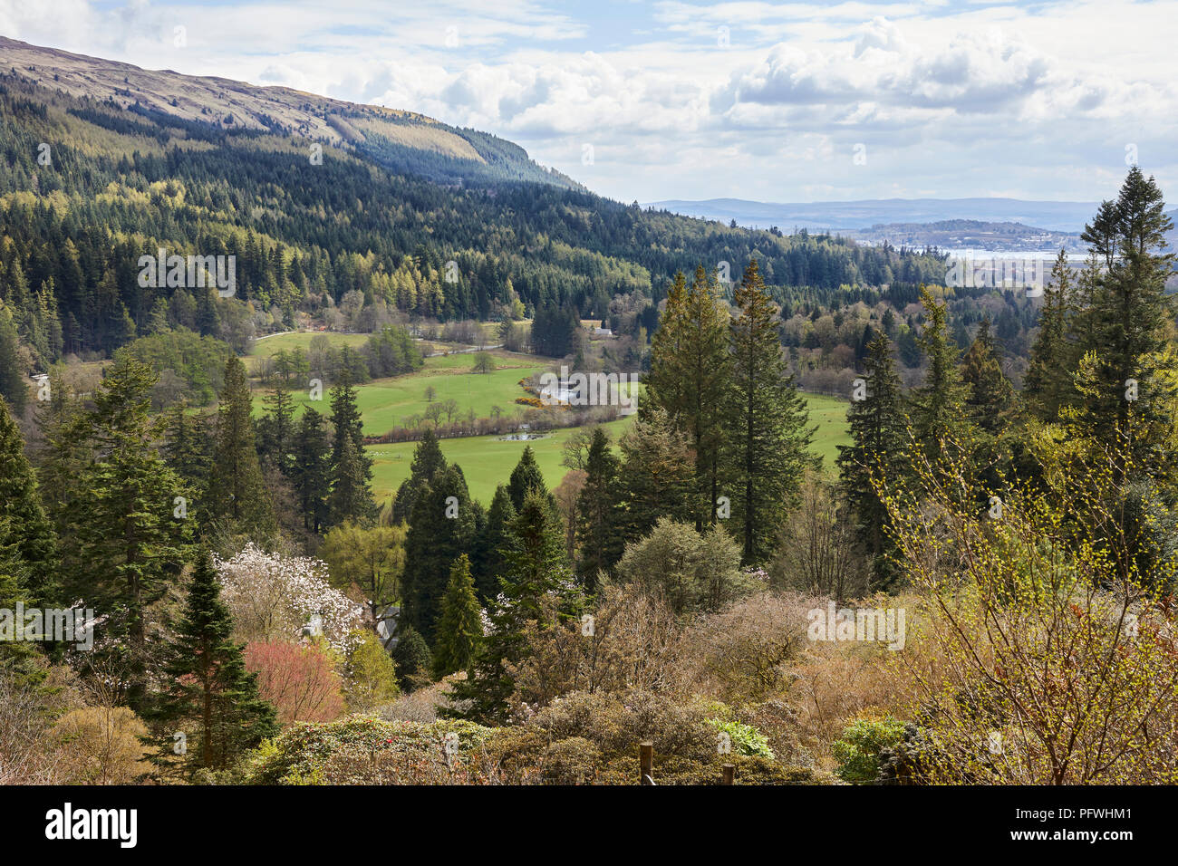 Blick auf den Firth of Clyde und Dunoon aus der Benmore Botanischen Gärten. Dunoon Stockfoto