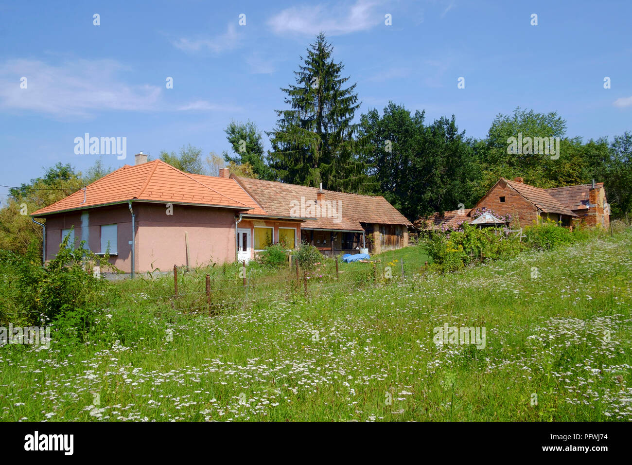 Typische traditionelle ländliche Dorf Haus zala Ungarn Stockfoto