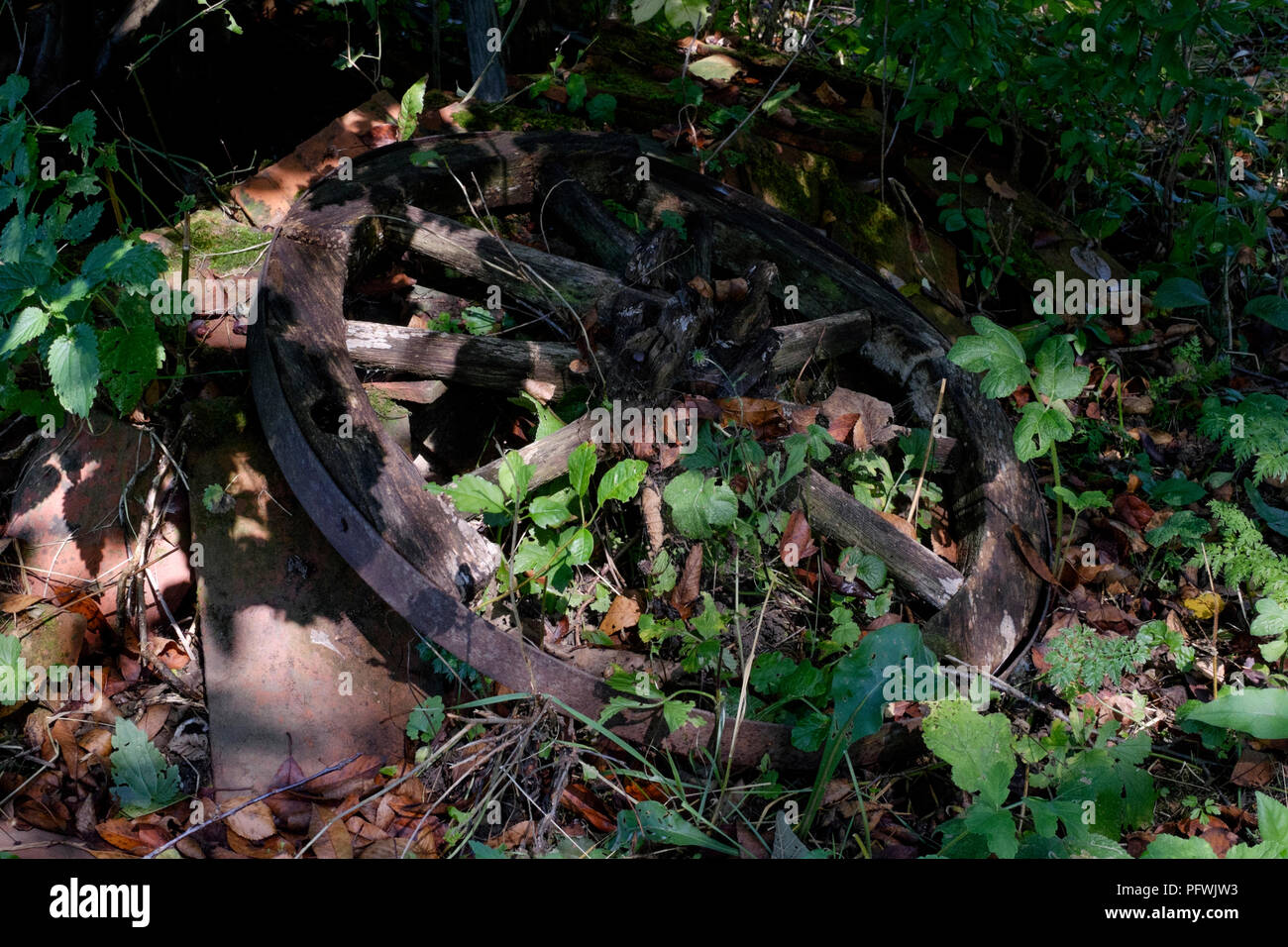 Holz- Reste eines langen gut in einem üppig bewachsenen Vergessen stillgelegten Garten in einem ländlichen Dorf zala Ungarn Stockfoto