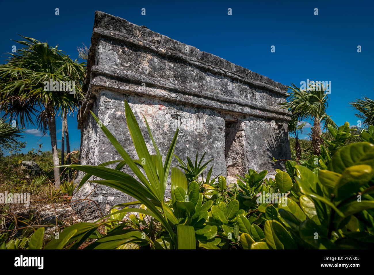 Maya Ruinen inmitten tropischer Vegetation, Fatima Bay, Puerto Aventuras, Quintanna Roo, Mexiko. Stockfoto