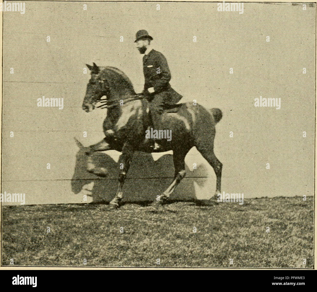 . Aufkantung, Trensen und Sporn: Eine Methode der Ausbildung junger Pferde für die Kavallerie, und zur allgemeinen Verwendung unter dem Sattel. Horsemanship; Pferde; CHR 1894; PRO Pearson, Leonard (exlibris) (Spender); PRO Zimmermann (autogramm). Der Galopp. - Der Galopp Änderungen. 91 Beat, das Tempo, das Pferd genau erhoben werden, in einem sehr langsamen Galopp, und der erhöhte Druck auf den rechten Oberschenkel des Reiters und der Aufwärtstrend spielen der linken Zügel mit Wirkung in dem Moment, in dem die. Galopp RECHTS. Erweiterte Hinterbein gibt seinen Impuls in einigen Stride. In sehr schnellen galoppiert das Pferd muss die Idee der ändern, bevor die Stockfoto