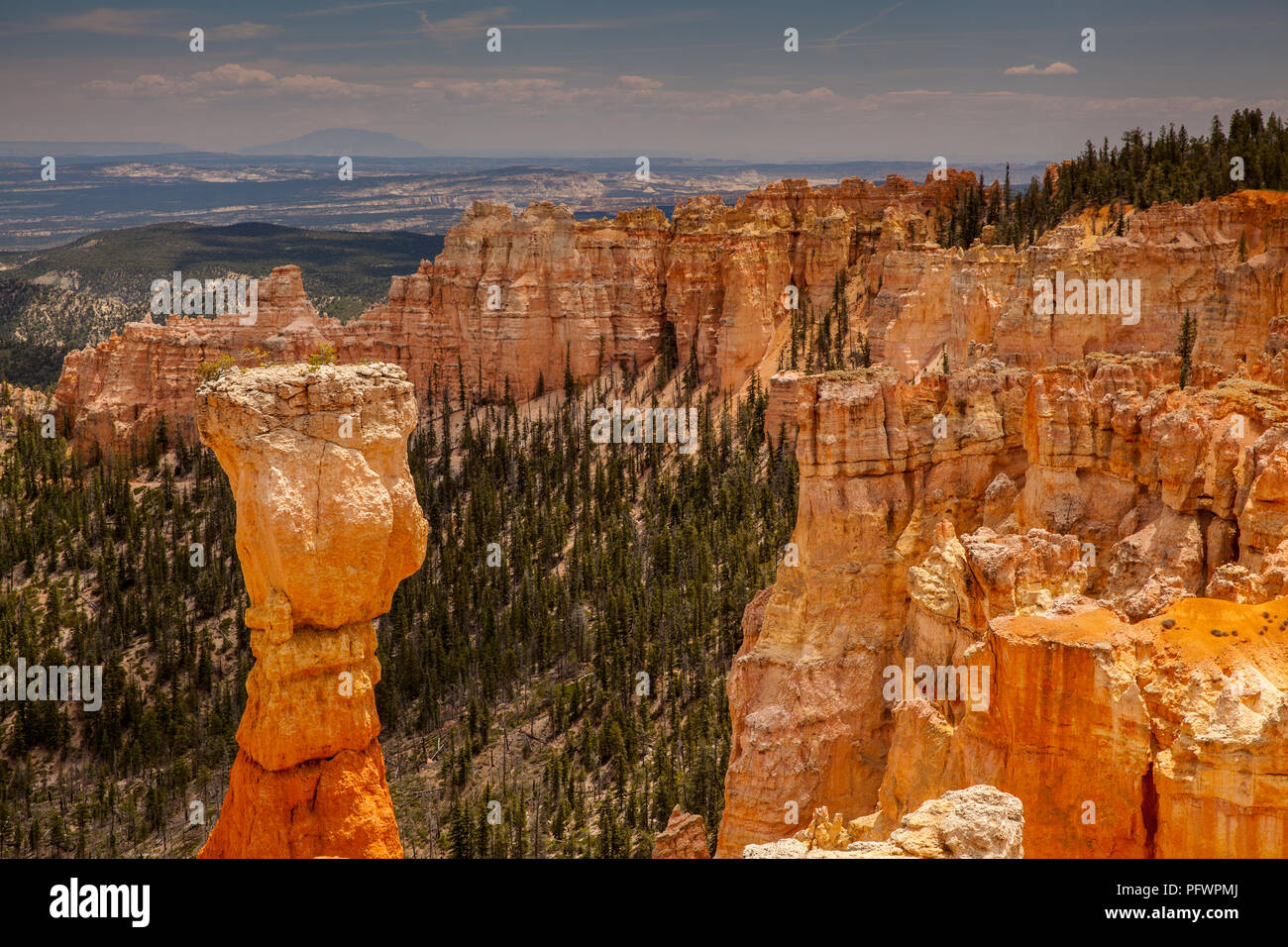 Agua Canyon Stockfoto