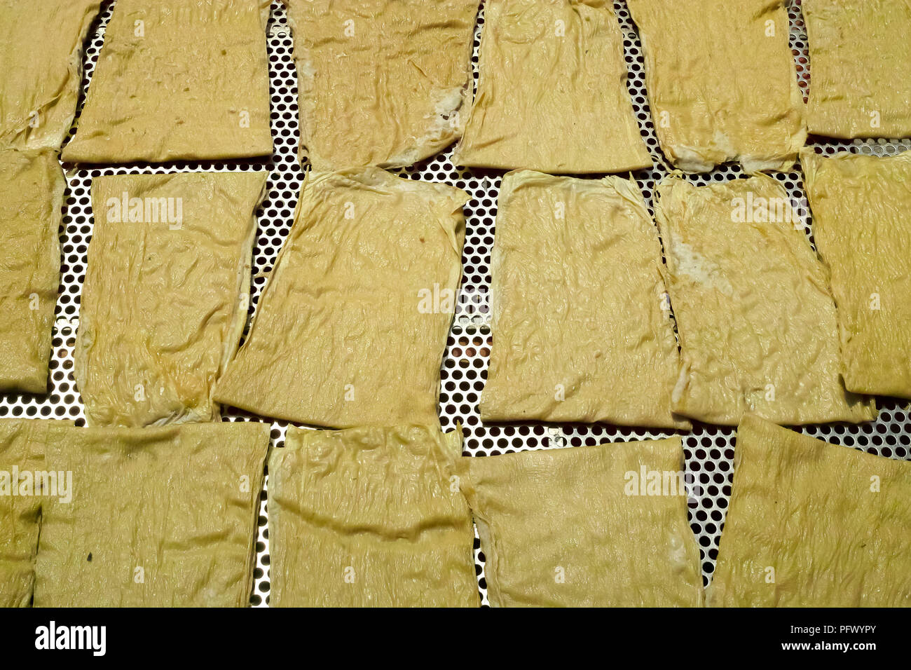 Frische Meeresfrüchte und Fisch. Sekinchan Fischerdorf, Halbinsel Malaysia. Stockfoto