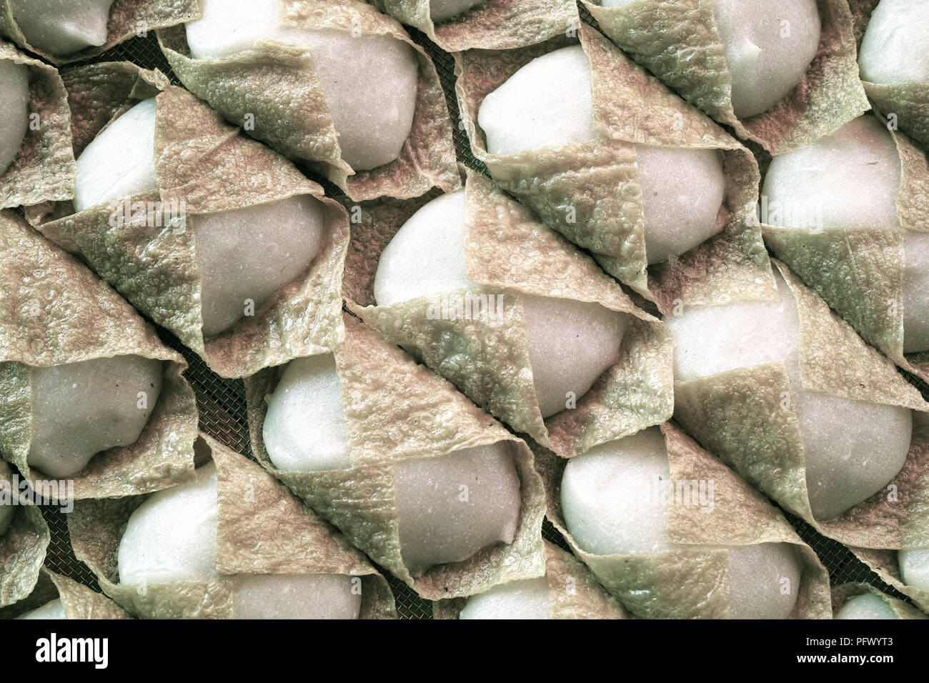 Frische Meeresfrüchte und Fisch. Sekinchan Fischerdorf, Halbinsel Malaysia. Stockfoto