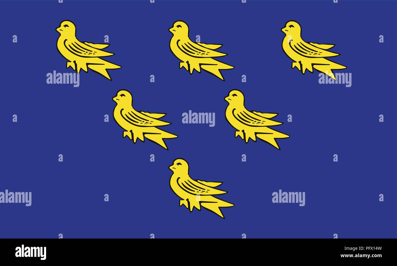 Die historische Flagge von Sussex Stock Vektor