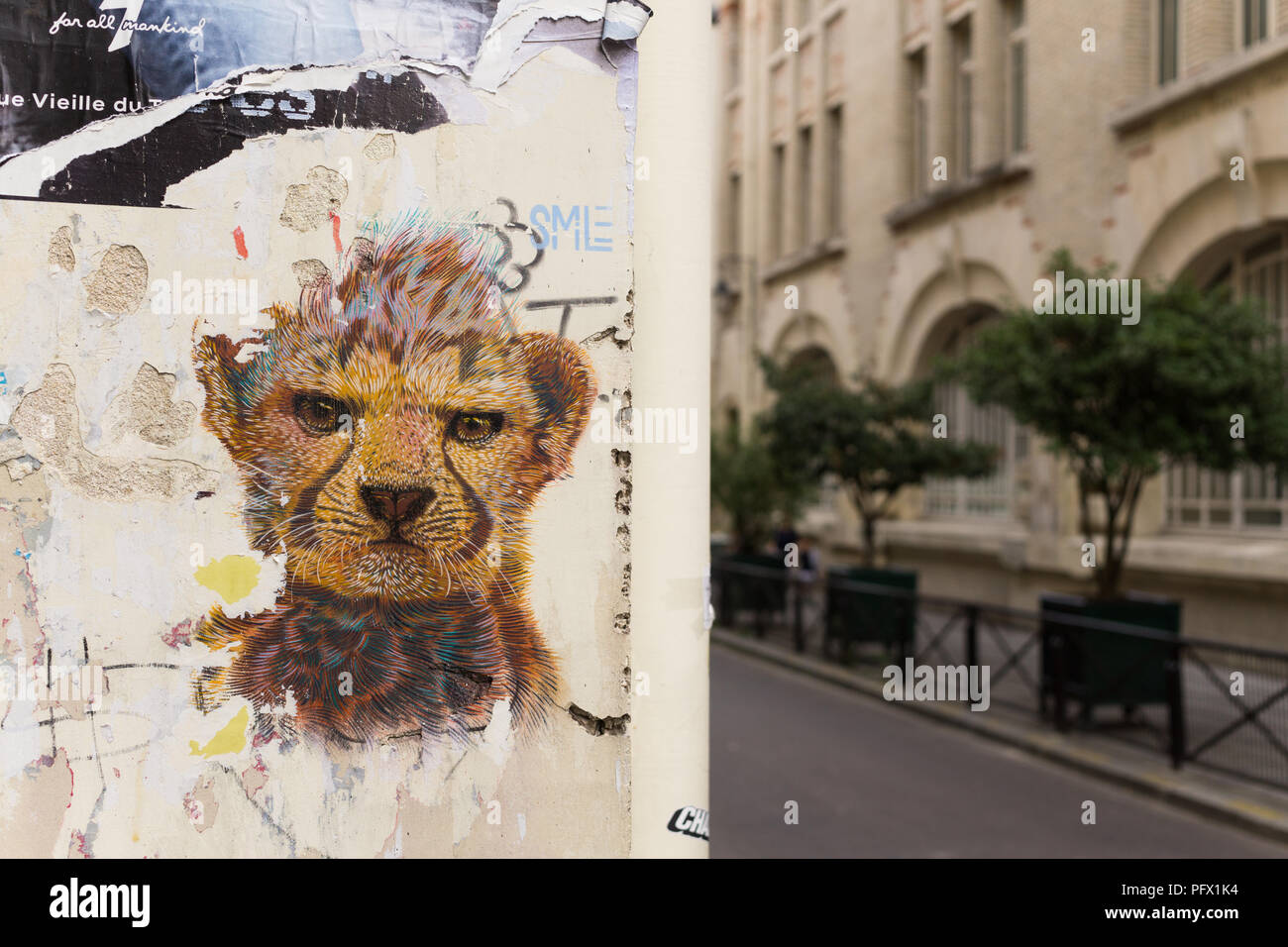 Paris Street Art - Leopard street art im Marais-Viertel von Paris, Frankreich, Europa. Stockfoto