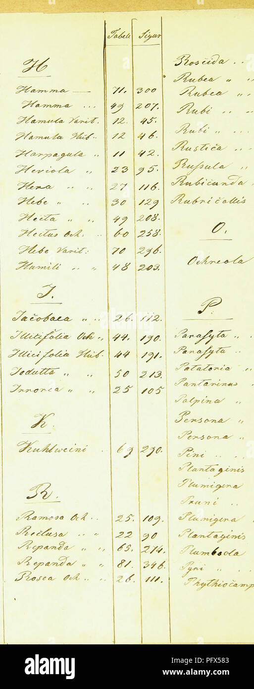 . HuÌbner der Papilio [elektronische Ressource]. Lepidoptera. J? ^ & Amp; 0 S 7-0 J Cc4/SJ. 7 $ 2,46. {* Z7J. Â 9/S&gt; 2, &Amp; /*/. //9 V-f3/.RF3/f - 3&gt; t/S'Z4 y 2,/0. 33 743. SO2 /? ein. Â £ £ * KZ 2. S6. %#/Â. 2 sf jZa*. t*. ^ tf C, A&lt; (7 &Lt;T?&lt; w. J 3 4/ 4. ss-. $ 6* sy. /Y/O. */. 250-Z?&lt;?â/**. 7 4.. Bitte beachten Sie, dass diese Bilder sind von der gescannten Seite Bilder, die digital für die Lesbarkeit verbessert haben mögen - Färbung und Aussehen dieser Abbildungen können nicht perfekt dem Original ähneln. extrahiert. HuÌbner, Jakob, 1761-1826. [S. l. : N. n. ] Stockfoto