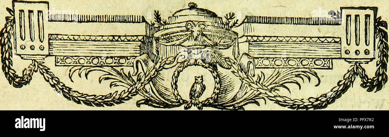 Diese Arbeit bietet eine detaillierte Beschreibung der Schmetterlingsart Phalena Geom. Punctaria konzentriert sich auf seine physischen Merkmale. Es erinnert an den gelb-orangen Kopf, die grün-braunen Augen und den bräunlichen Proboscis sowie an seine markanten Flügelmarkierungen und -Muster. Stockfoto