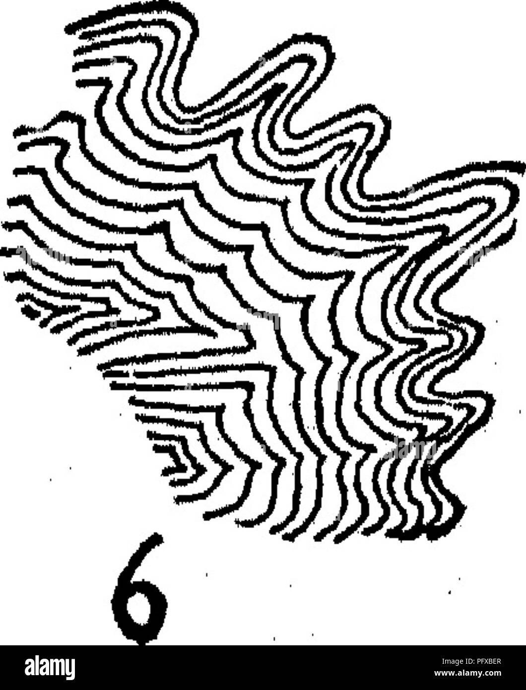 . Bakteriologie und Mykologie von Lebensmitteln. Essen. Arten von Kolonien: 1, amoeboid cochleate; 2, 19; 3, mycelioid rhizoid; 4; 5; 6, faserigen, gewellte Struktur. (Von Moore's Labor Richtungen für Anfänger in der Bakteriologie, Ginn &Amp; Co., 1905.) Abb. 35.~ Übersicht Merkmale der Kolonien, diese nicht als absolut konstant angesehen werden sollten. Oth. er Begriffe verwendet werden, die mehr richtig eine Kolonie wachstum beschreiben. Methode zur Aufzeichnung der wichtigsten Merkmale von Bakterien. Viele von denen, die es am meisten scharf zu kritisieren habe es noch nie in einem erweiterten Forschung eingesetzt. Der Student wird JBnd die Cha Stockfoto