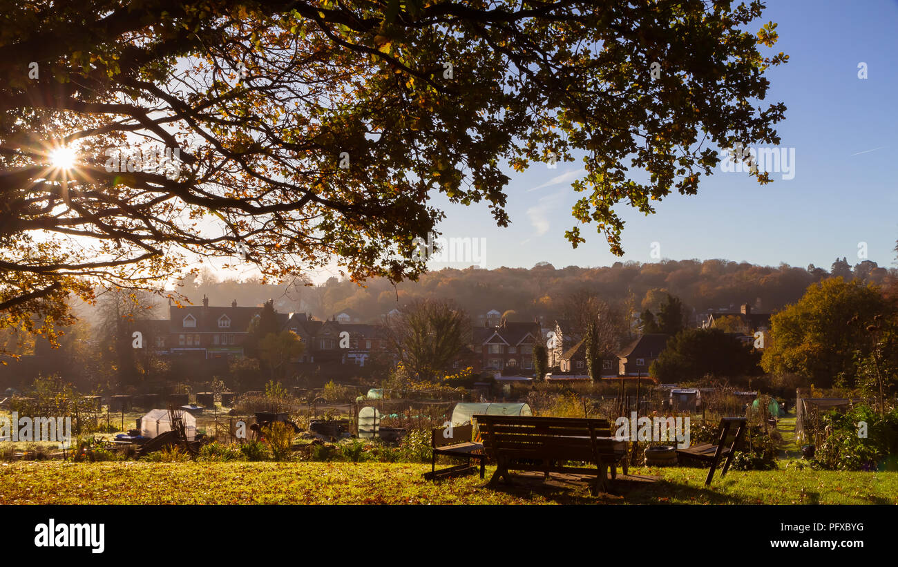 Sonnigen morgen, Sitzbank, stehen im Garten unter einem Baum, typisch englischen Stadt sen in der Ferne Stockfoto