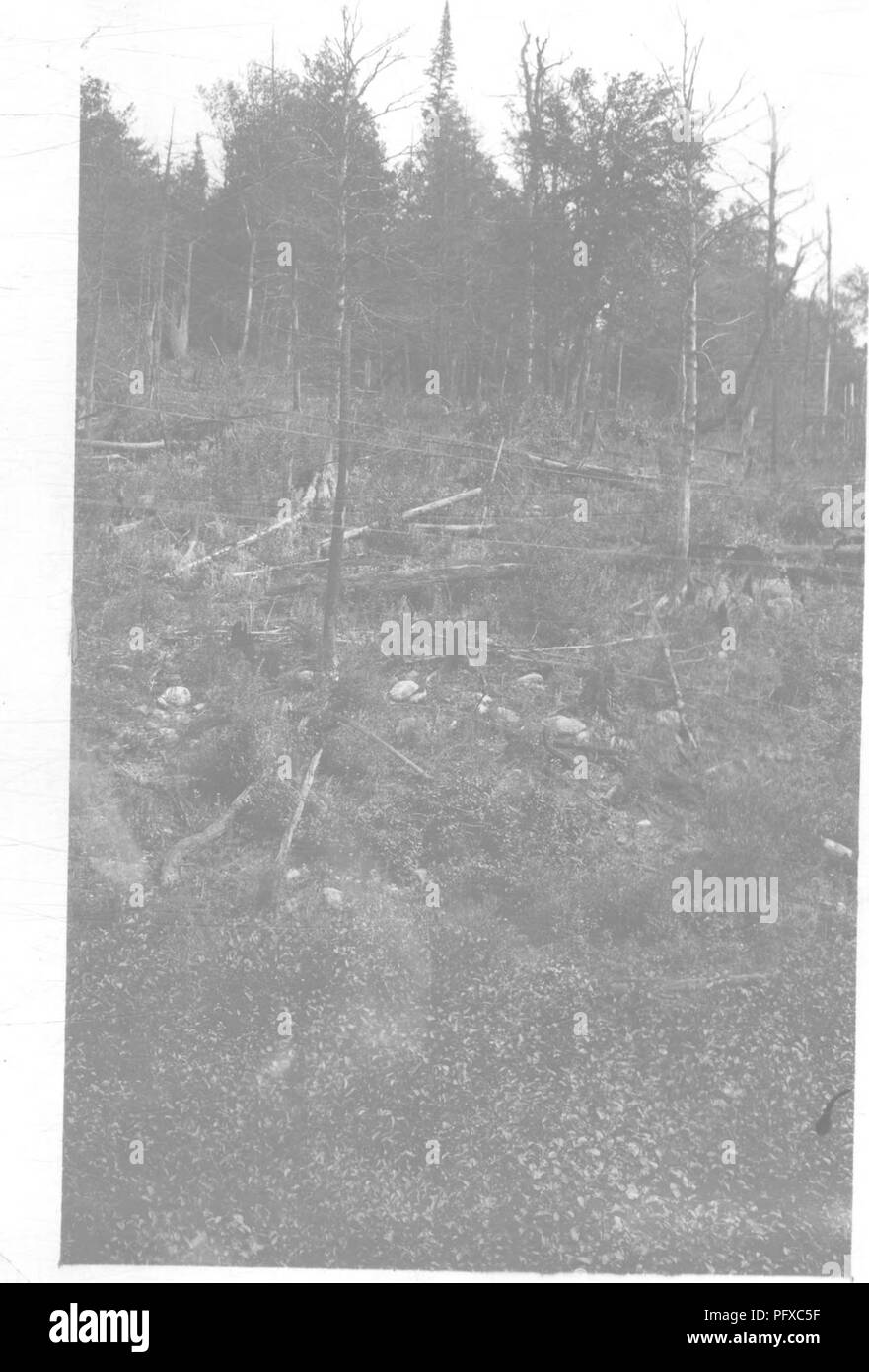 . Eisenbahn Wald Brandschutz. Waldbrände; Brandschutz; Feuerlöschung. 30. /Brennbare Ablagerungen auf Grand Trunk rlght-von-wav Ontario. Diese liegt auf einem Bergrücken, die trocknet Im zeitigen Frühjahr und ist leicht entzündlich. Der Zug rms Die°^L^ cjt Das bringt den Stapel fast Le? el wUh der Kante, wodurch die Gefahr des Feuers von • Funken. Bis später von der Eisenbahngesellschaft gereinigt.. Bitte beachten Sie, dass diese Bilder extrahiert werden aus der gescannten Seite Bilder, die digital haben für die Lesbarkeit verbessert - Färbung und Aussehen dieser Abbildungen können nicht Perfekt resemb Stockfoto