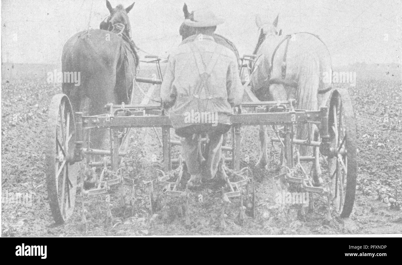 Diese Ressource beschreibt effektive Bodenbewirtschaftungspraktiken und betont Werkzeuge wie den Feder-Zahn-Grubber und seine Verwendung unter verschiedenen Bodenbedingungen. Das Handbuch vergleicht Grubber mit starren Zähnen für schwere Böden und bietet so Einblicke in die Optimierung der Bodenneigung und die Verbesserung der Ernteproduktion auf lehmigen und trockenen Böden. Besonderes Augenmerk gilt der Unkrautbekämpfung in steinigen Böden und den Vorteilen der Verwendung geschärfter Klingen. Stockfoto