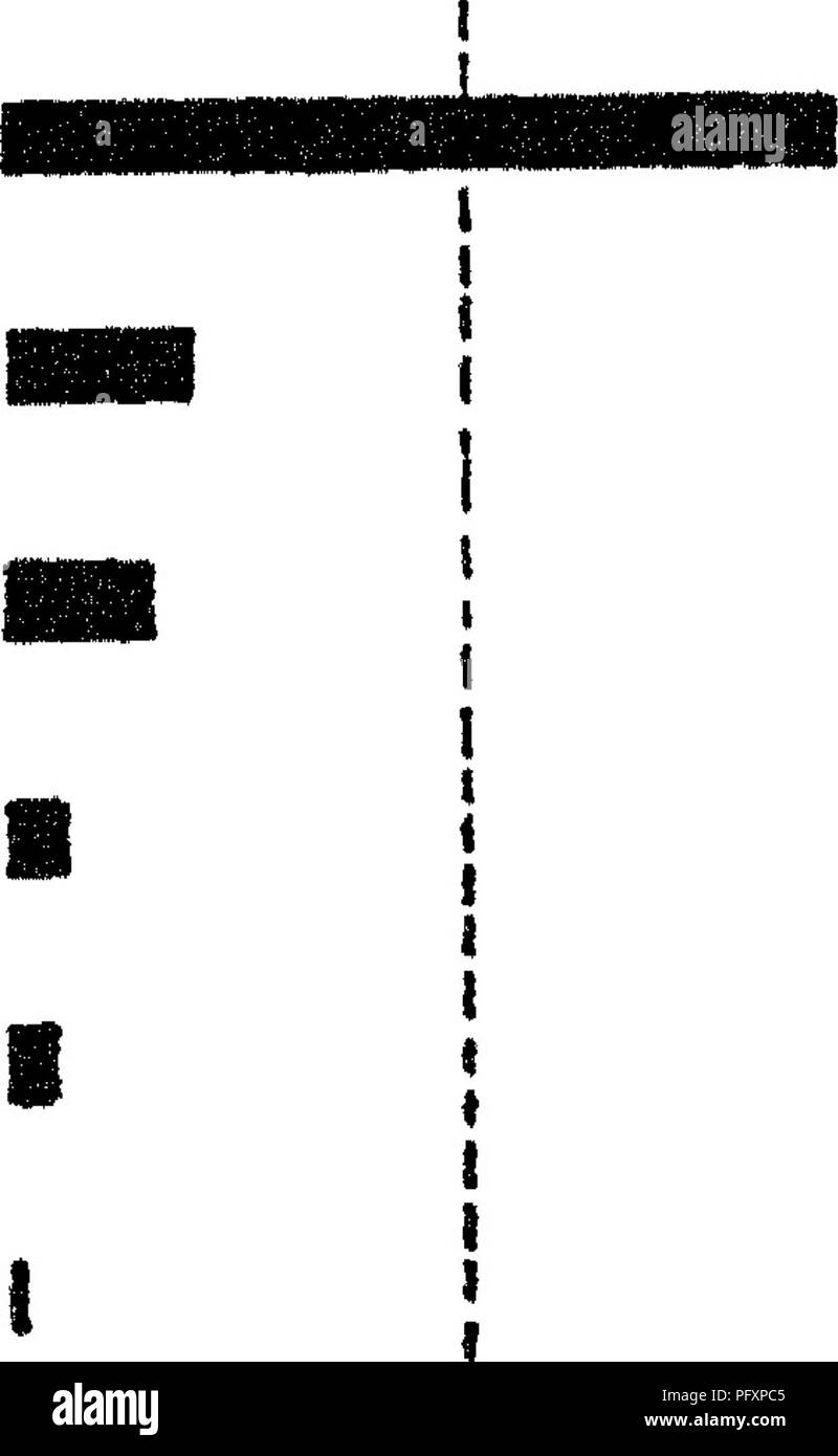 . Die Art und die Eigenschaften der Böden; ein Kollegium Text von edaphology. Böden. NATUEE UND EIGENSCHAFTEN VON BÖDEN häufigste Schwefelwasserstoff dieses Elements. Obwohl Schwefel nicht mehr in der durchschnittlichen Boden als Phosphor reichlich vorhanden ist, ist es in der Regel nicht als ein äußerst wichtiger düngenden Bestandteils berücksichtigt. Interessant ist an dieser Stelle die Mengen der oben angeführten Elemente in normalen mineralischen Böden zu beachten. Im Allgemeinen die Nitro - %3 iQz BOA re^03 'Ich' Al 203 - 9,0 Na^O - 2.0 m KgO 1-5 "CaO .61 KgO^^ 51 PgOj SOj N ich! 5% 10% 1^%. Abb. 2.-chemische Zusammensetzung eines repräsentativen produktiven Böden. gen (N) kann Fro Stockfoto