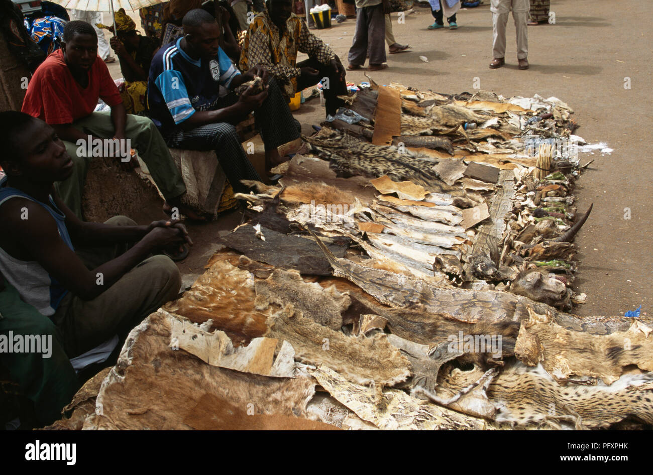 Tierhäute für Hexerei auf dem Markt in Bamako in Mali Stockfoto
