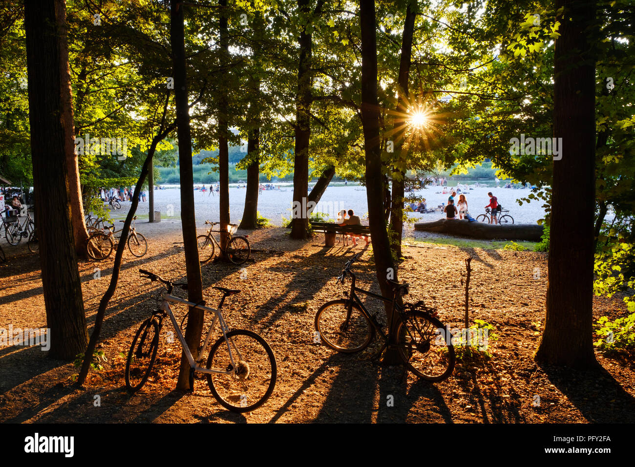 Sonnenuntergang, Fahrräder auf Bäumen, an der Isar am Flaucher, Thalkirchen, München, Oberbayern, Bayern, Deutschland Stockfoto