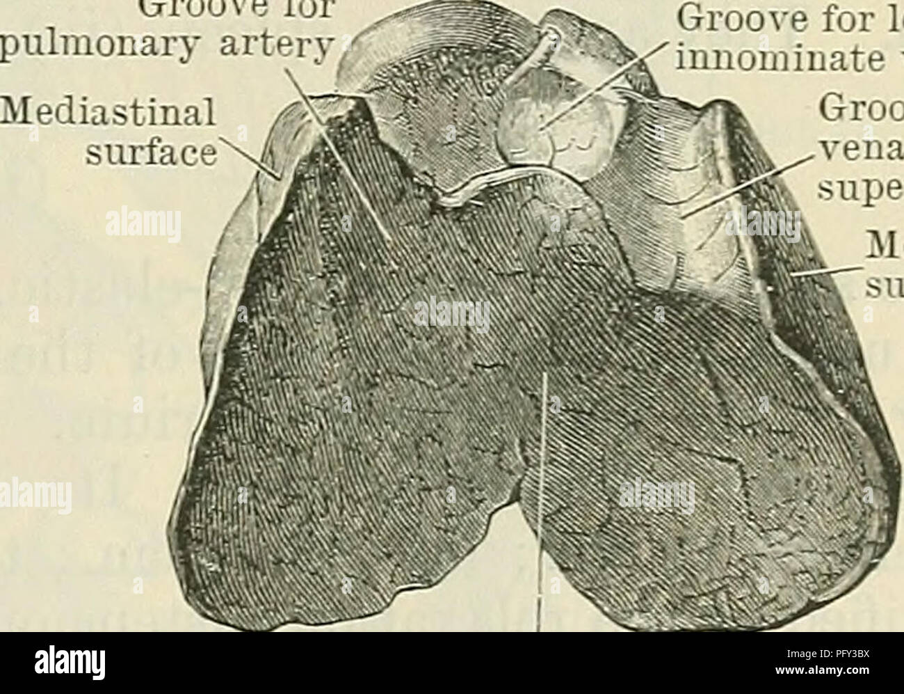 Schwierige vene -Fotos und -Bildmaterial in hoher Auflösung – Alamy