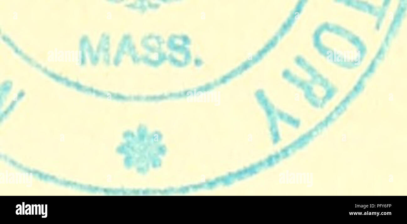 Strömungen In Der Biochemischen Forschung Biochemie - 