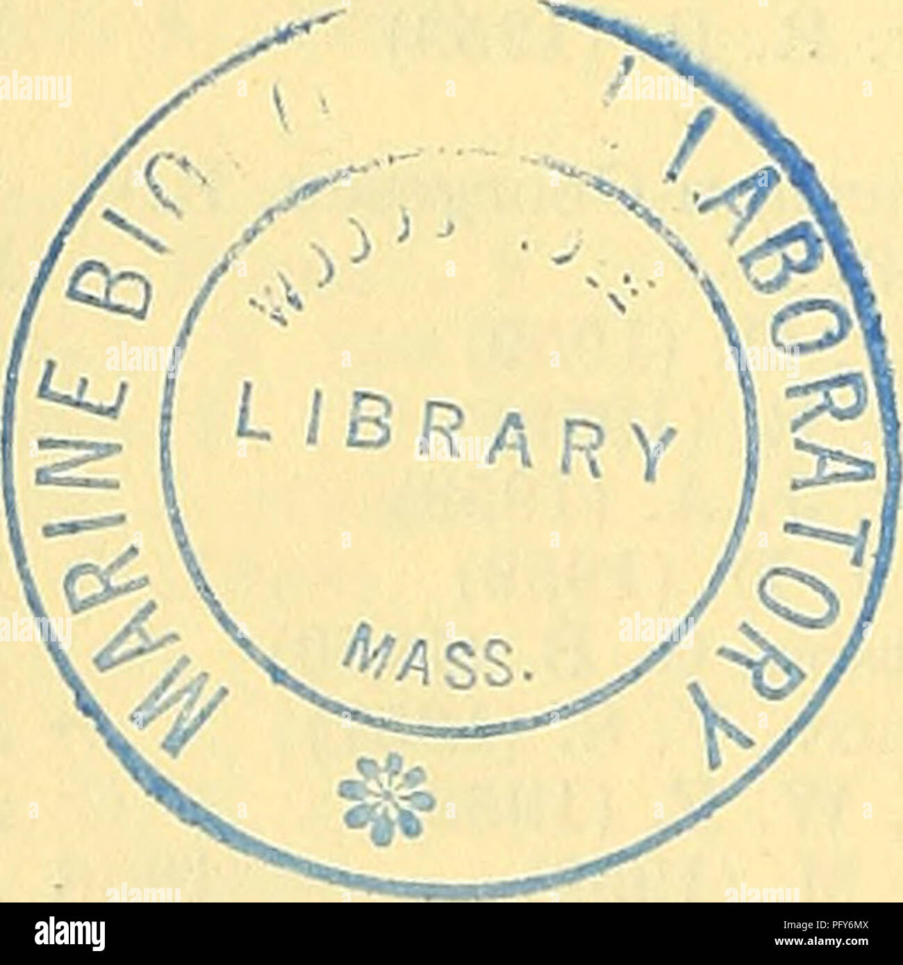 . Aktuelle Bibliographie für Aquatic Sciences und Fischerei. Marine Biologie; aquatische Biologie; Fischerei. Bibliographie für AQUATIC SCIENCES UND FISCHEREI Sato, N. (1958) 2120 Scheer, B. T. (1959) 2454 Schneiderman, H. A. (1959) 2097 Schwassmann, H. O. (1959) 1762 Scott, D.? (1959) 1546 Seshappa, G. (1957) 1999 Shadrinski, S. V. (1957) 2309 Shepard, M. S. (1958) 1579 1586 Shimamura, H. (1958) 2123 Shumakov, B. A. (1957) 2392 Sievers, R. (1959) 1650 Simpson, G.G.(1958) 1562 Sindermann,? J. (1959) 1548 Slinn, D.J. (1959) 2515 Sohier, Y. (1959) 1262 Sohonie, K. (1959) 1250 1251 (Solovieva, N. F. Stockfoto