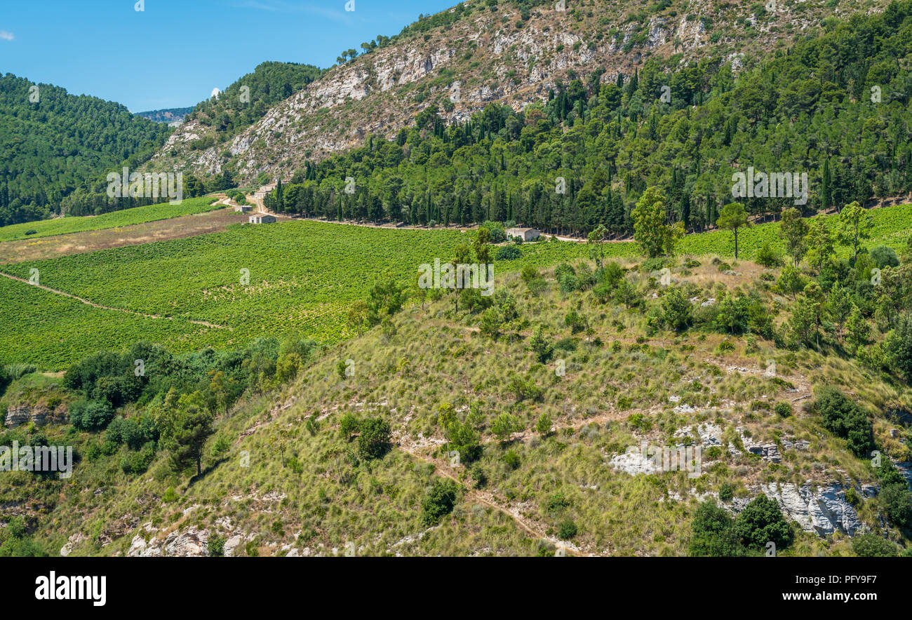 Panoramablick auf die umliegende Landschaft von Segesta, Antike griechische Stadt in Sizilien, Süditalien. Stockfoto