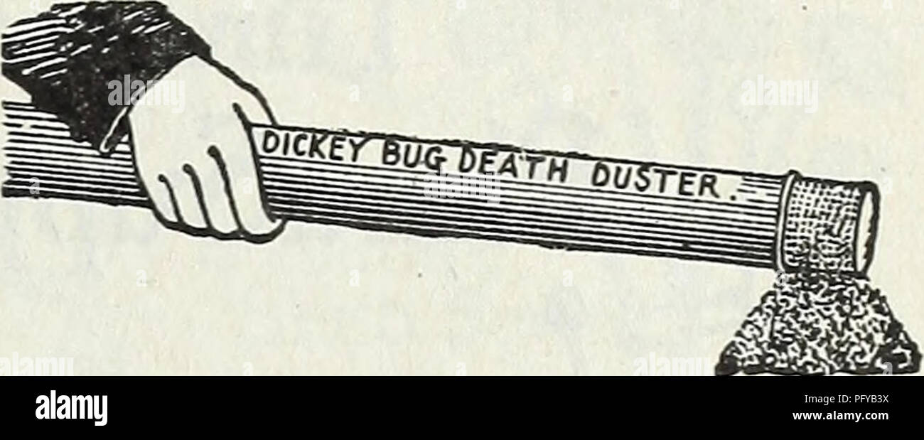 . Currie's Farm und Garten jährliche: Frühjahr 1930. Blumen Samen Kataloge, Leuchtmittel (Pflanzen) Samen Samen Kataloge Kataloge; Gemüse; Baumschulen (Gartenbau) Kataloge; Pflanzen, Zierpflanzen Kataloge; Gartengeräte und Zubehör Kataloge. Dickey Duster - Für die Anwendung von Insekt Pulver, 60 C. Scollay's Gummi Sprink - Scollay's Gummi ler - Der Florist sprink - Kitt Distributor, ler, Nr. 1 grosse, $ 1,50; Preis, $ 1,50; per Post, $ 1.60. mail, $ 1.60. Sturdv Pumpspray Flasche Sprüher ROBUSTE PUMPSPRAY ganz aus Messing. In jedem Eimer oder Behälter verwendet werden. Arbeiten mit Leichtigkeit auf der nach oben und unten streichen, werfen ein Co Stockfoto