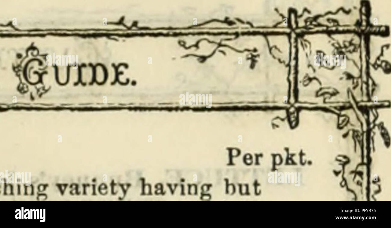. Curtis, Cobb & Amp; Washburn's Amateur kultivator Leitfaden für die Blumen- und Gemüsegarten für 1878. Baumschulen Massachusetts Kataloge; Blumen Samen Kataloge; Küche Garten Kataloge. Ich MATEUK der KULTIVATOR SELLERIE, Zwerg Große gerippt. Ein weißes, blanchieren Vielzahl havinc Hütte weniger Seite-schießt, die ganze Kraft der Vegetation in das Hauptwerk konzentriert wird. Für kräftiges Wachstum des Stiels und Größe der Rippe ist diese Vielfalt tlie am besten. Die Anlage ist sehr Charakter aufrecht, und die Stiele eng gesetzt, wird zugeben, dass der Vel-y in der Nähe des Anbaus. .25 .10 Saugdringhain&gt; eine neue Stockfoto