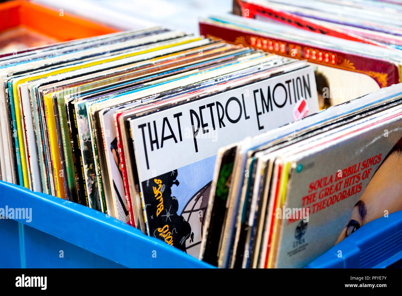 Boxen von Schallplatten in einem second hand Record Shop in Sofo, Södermalm, Stockholm, Schweden Stockfoto