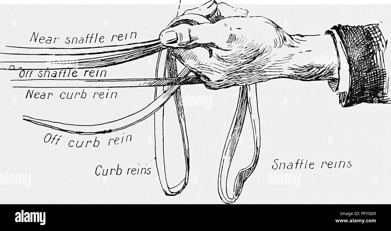 . Brechen und Reiten, mit militärischen Kommentare. Pferde; Horsemanship. Abb. ig.-Aclion aus cinb Zügeln, Knuckles lowere-l Kandare Zügel. Sie bändigen Re'i Kandare Zügel Trensen Zügel Abb. 20.- Aktion von in der Nähe von Kandare Zügel; Knuckles angehoben. Aus Trensen rem. Bitte beachten Sie, dass diese Bilder sind von der gescannten Seite Bilder, die digital für die Lesbarkeit verbessert haben mögen - Färbung und Aussehen dieser Abbildungen können nicht perfekt dem Original ähneln. extrahiert. Fillis, James, 1834-1913. London, Hurst und Blackett Stockfoto