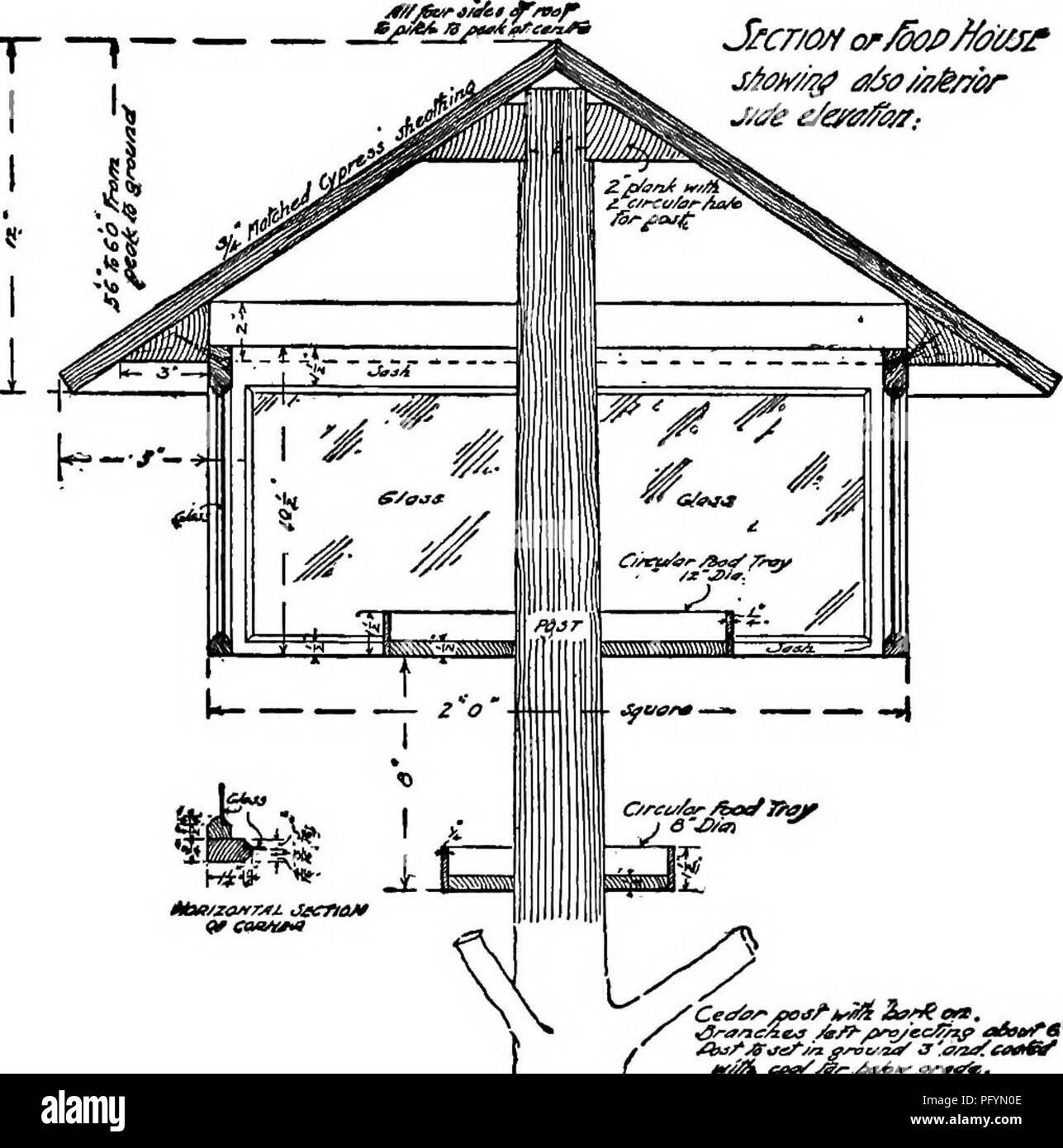 Wild Bird Gaste Wie Sie Zu Unterhalten Mit Kapiteln Uber Die
