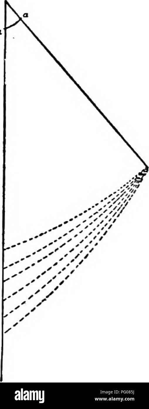 . Die spechte. Spechte. 90 DIE SPECHTE zeigt die Form der Kurve in 6 Arten, und zeigt, daß, während die Cur-vature ist weniger, als wir erwarten konnten, trägt es einige Verhältnis zu Art und Weise der Vogel der Uving; denn wir sehen, dass die streng arboreal Spechte spitzer Schwanz als die Terrestrische Arten haben, und dass die Anzahl der Farbabstufungen trägt einen direkten Bezug auf die Zeit, die auf dem Baum verbracht - Trunks. Es gibt noch eine dritte difEerence, die Form der einzelnen Feder, auf die wir shaU re-fer wieder; aber jetzt wollen wir der verwendet und bedeutet prüfen - ing der gebogenen Ende. Ich w Stockfoto