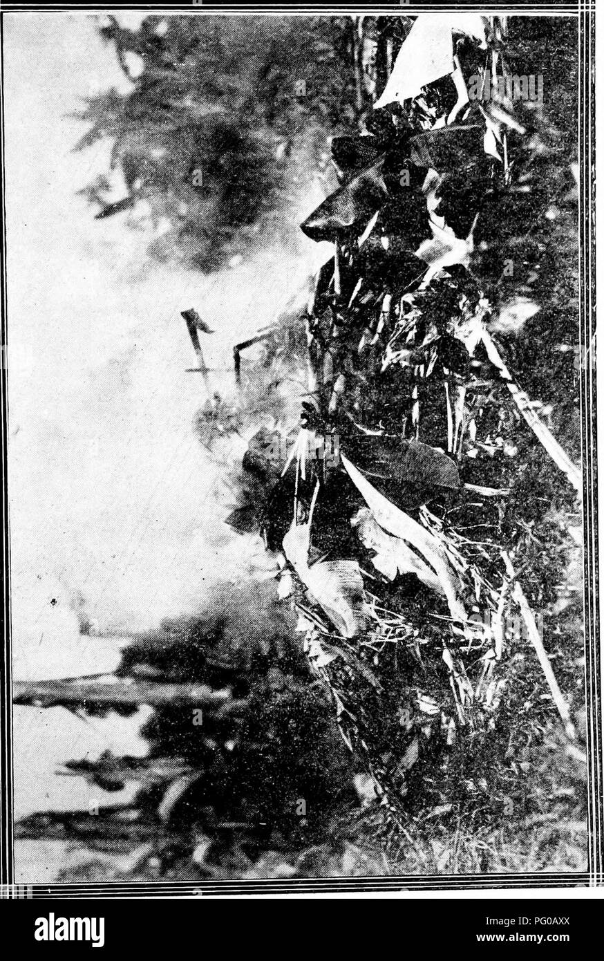 In diesem Bild der Kommission für Pflanzenschutz wird die Rolle der kommission bei der Bekämpfung von Pflanzenkrankheiten und Insektenschädlingen in Kuba erörtert. Sie hebt die Bemühungen zur Bekämpfung und Bewältigung landwirtschaftlicher Bedrohungen für die Pflanzengesundheit hervor, wobei insbesondere die Schädlingsbekämpfungsverfahren und -Strategien zum Pflanzenschutz im Mittelpunkt stehen. Stockfoto