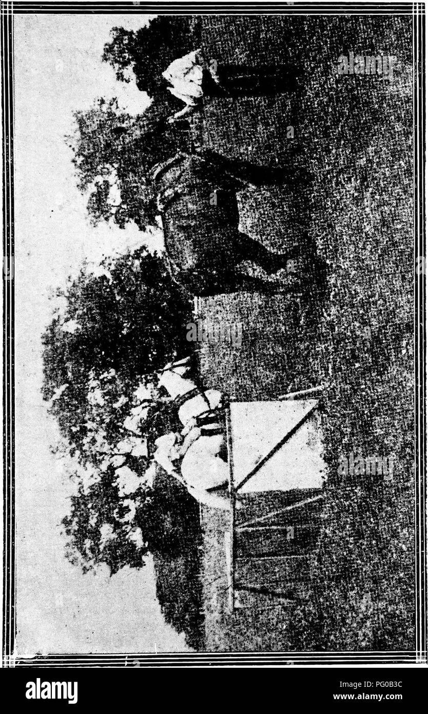 . Die Kommission von Anlagen der Abwasserentsorgung und seine Arbeit. Pflanzenkrankheiten und Schädlinge. . Bitte beachten Sie, dass diese Bilder sind von der gescannten Seite Bilder, die digital für die Lesbarkeit verbessert haben mögen - Färbung und Aussehen dieser Abbildungen können nicht perfekt dem Original ähneln. extrahiert. Kuba. Comision de sanidad Vegetal. Habana, Impr. S. Fernandez y Ca. Stockfoto