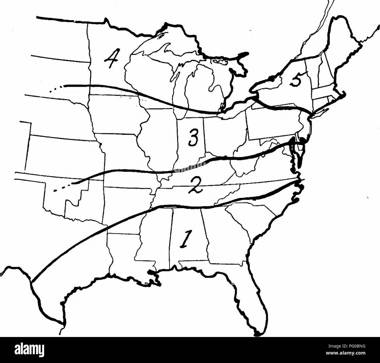 . Die Maisernte: Eine Diskussion von Mais, Sorghum, kafirs und wie in den USA und Kanada angebaut. Mais; Kafir Mais, Sorghum. Vorbereitung und Pflanzung 185, die nur von lokaler Bedeutung, macht eher verwirrend eine Studie von Experimenten, um die besten Sorten auswählen. In einigen Fällen kann eine Anzahl von Sorten haben einen gemeinsamen Ursprung haben und für die eine allgemeine Diskussion zu gruppiert werden. Abb. 52. - Grobe Aufteilung der Vereinigten Staaten in Mais Regionen, die Arten von Mais angebaut. Gether. Es gibt auch andere Gruppen, die aus sehr unterschiedlichen Quellen, die dennoch sehr simila sind Stockfoto