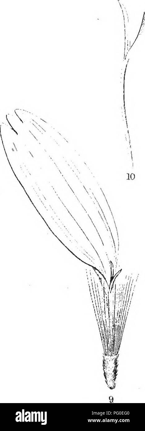 Dieser Bericht dokumentiert die US-amerikanischen geographischen Erhebungen westlich des 100. Meridians unter der Leitung von George M. Wheeler und anderen. Sie umfasst topografische Daten, Kartierungen und Beobachtungen, die für das Verständnis des amerikanischen Westens von entscheidender Bedeutung sind und zu späteren Infrastrukturentscheidungen und Siedlungsentscheidungen beitragen. Die Publikation war maßgeblich an der westlichen Expansion der Vereinigten Staaten beteiligt. Stockfoto