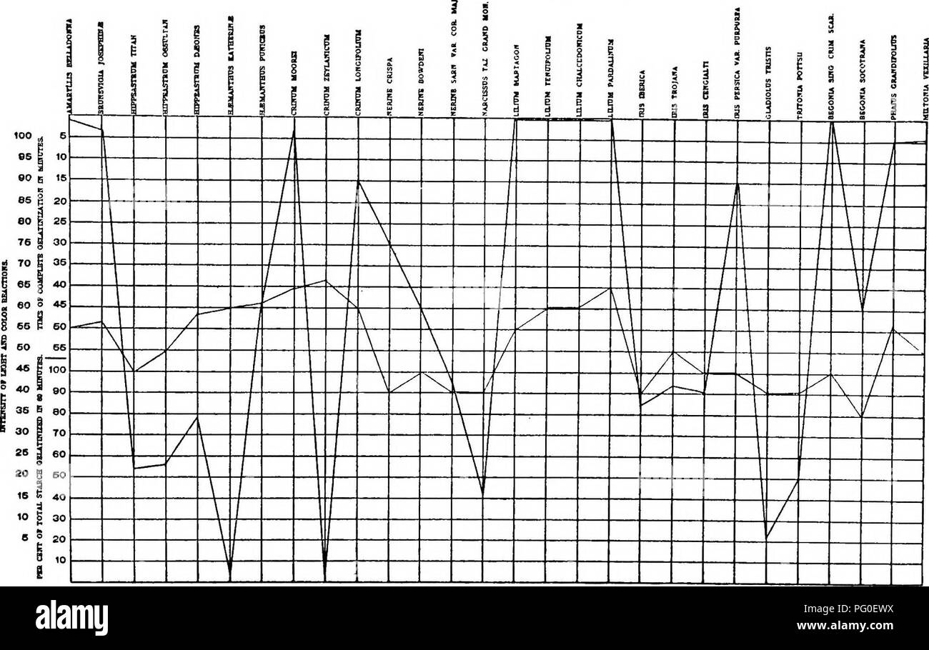 Diese Abbildung zeigt einen biochemischen Ansatz zum Verständnis von Pflanzentaxonomie, Vererbung und Evolution. Der Schwerpunkt liegt auf den Reaktionen von Stärke und Hämoglobinen in Hybrid- und Mutterpflanzen, mit Diagrammen, die die Auswirkungen verschiedener chemischer Reagenzien auf Pflanzengewebe zeigen. Die Studie hilft, die biochemischen Grundlagen der Pflanzenzüchtung und den genetischen Aufbau von Pflanzensorten und -Arten zu verstehen. Stockfoto Diese Abbildung zeigt einen biochemischen Ansatz zum Verständnis von Pflanzentaxonomie, Vererbung und Evolution. Der Schwerpunkt liegt auf den Reaktionen von Stärke und Hämoglobinen in Hybrid- und Mutterpflanzen, mit Diagrammen, die die Auswirkungen verschiedener chemischer Reagenzien auf Pflanzengewebe zeigen. Die Studie hilft, die biochemischen Grundlagen der Pflanzenzüchtung und den genetischen Aufbau von Pflanzensorten und -Arten zu verstehen. Stockfoto