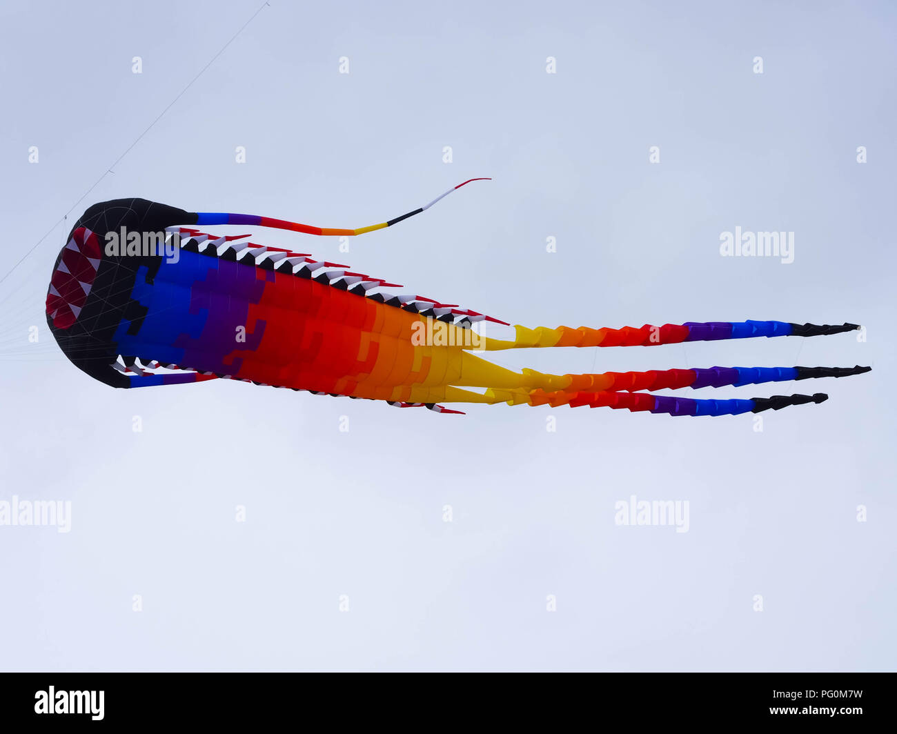 Ein squid-kite gegen einen grauen bewölkten Himmel fliegen Stockfoto