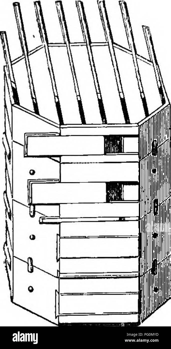 . Der Honig-Biene; seine Natur, Wohnungen und Produkte. Bienen. Nesselsucht. i6s und sicher abgedeckt. Die Abbildung stellt die Art und Weise, in der die Folien verschieben. Das obere Feld D ist, in denen der Honig der Biene-Master wird gespeichert. Es ist 10 cm in der Tiefe, die die anderen Dimensionen, mit denen die Felder unten es ähnlich. Es ist mit nur sieben oder acht eingerichtet, statt neun Bars, das Objekt zu induzieren, die Bienen mehr Zellen für Honig Hinterlegung in zu errichten. Dies nicht nur befestigt ist. Abb. 57.- stewarton Bienenkorb. Eine größere Menge für weniger Ausgaben von Wachs, verhindert aber die Königin Eier Stockfoto