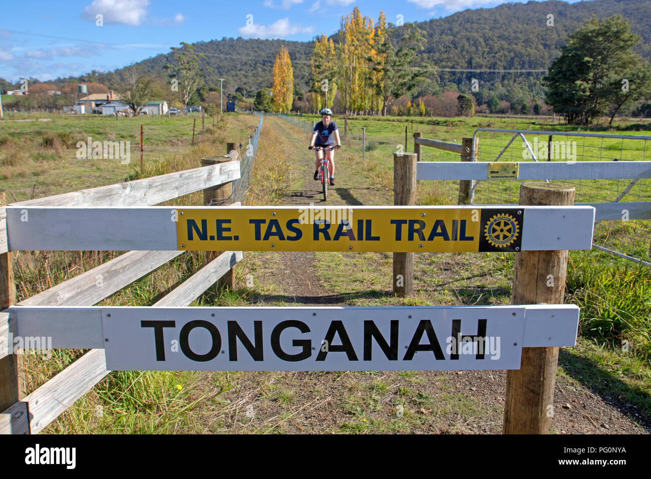 Mädchen Radfahren auf der North East Rail Trail, der eine alte Bahn Linie östlich von Scottsdale folgt Stockfoto