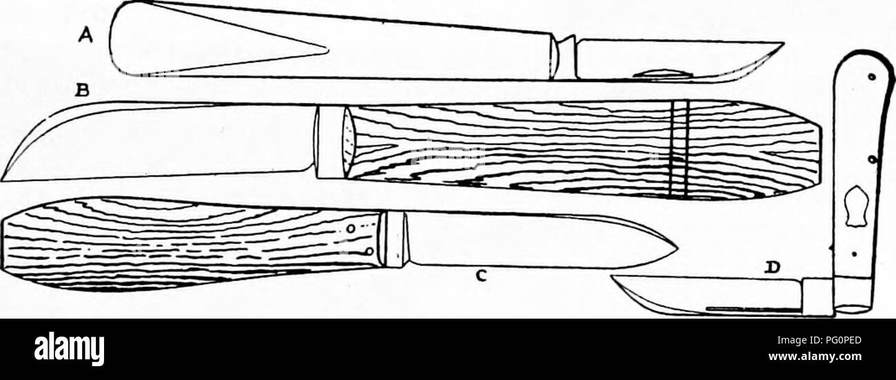 . Pflanzliches: Gewächshaus und Gärtnerei Praxis. Pflanzenvermehrung. Die METHODEN DER PFROPFEN 231 Bridg-e Verpflanzen ist eine behelfsmäßige Methode nicht zu Com sein - mit dem richtigen Schutz von Leitungen, in denen Tiere aus dem Obstgarten, l) y Vermeidung von Anhäufung von Gras, Stroh, etc., in denen die Mäuse Nester bilden könnten, und indem Sie trunk Protektoren - Schienen, geteert oder Bauen von Papier, vorzugsweise jedoch einen halben Zoll verzinkten hardware Tuch - rund um die Trunks, bis die Bäume haben raue Rinde (Abb. entwickelt. 146). Solche Methoden werden die Notwendigkeit der Brücke Pfropfung außer in Fällen der ungewöhnlichen Unfall verhindern. Stockfoto