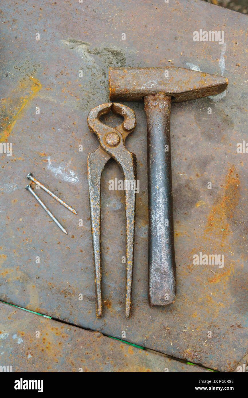 Schraubenentferner Zange - Multifunktionszange Für Rostige Schrauben Und Nägel