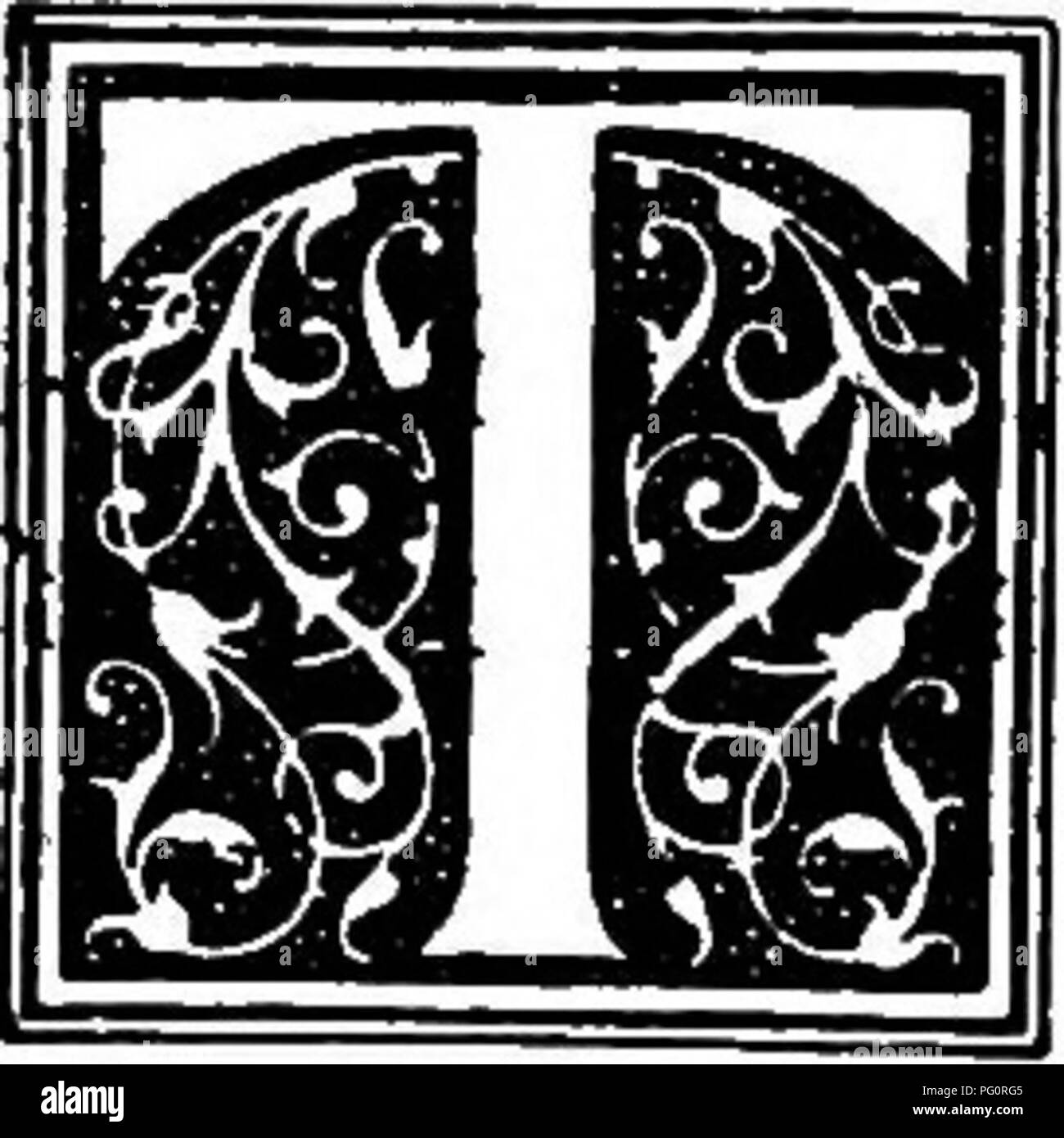 Dieses Kapitel aus einem Buch über die Geschichte des Hundes beschreibt den Irish Wolfhound, eine Rasse, von der angenommen wird, dass sie eine stärkere Version des Scottish Deerhound ist. Die historische Rolle des Hundes bei der Wolfsjagd in Irland wird erforscht, obwohl es keinen endgültigen Beweis für die Herkunft der Rasse gibt. Stockfoto