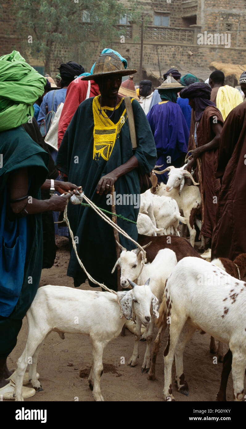 Fulani Hirt mit Ziegen am Montag Markt in der Großen Moschee von Djenne, Mali für redaktionelle NUR VERWENDEN Stockfoto