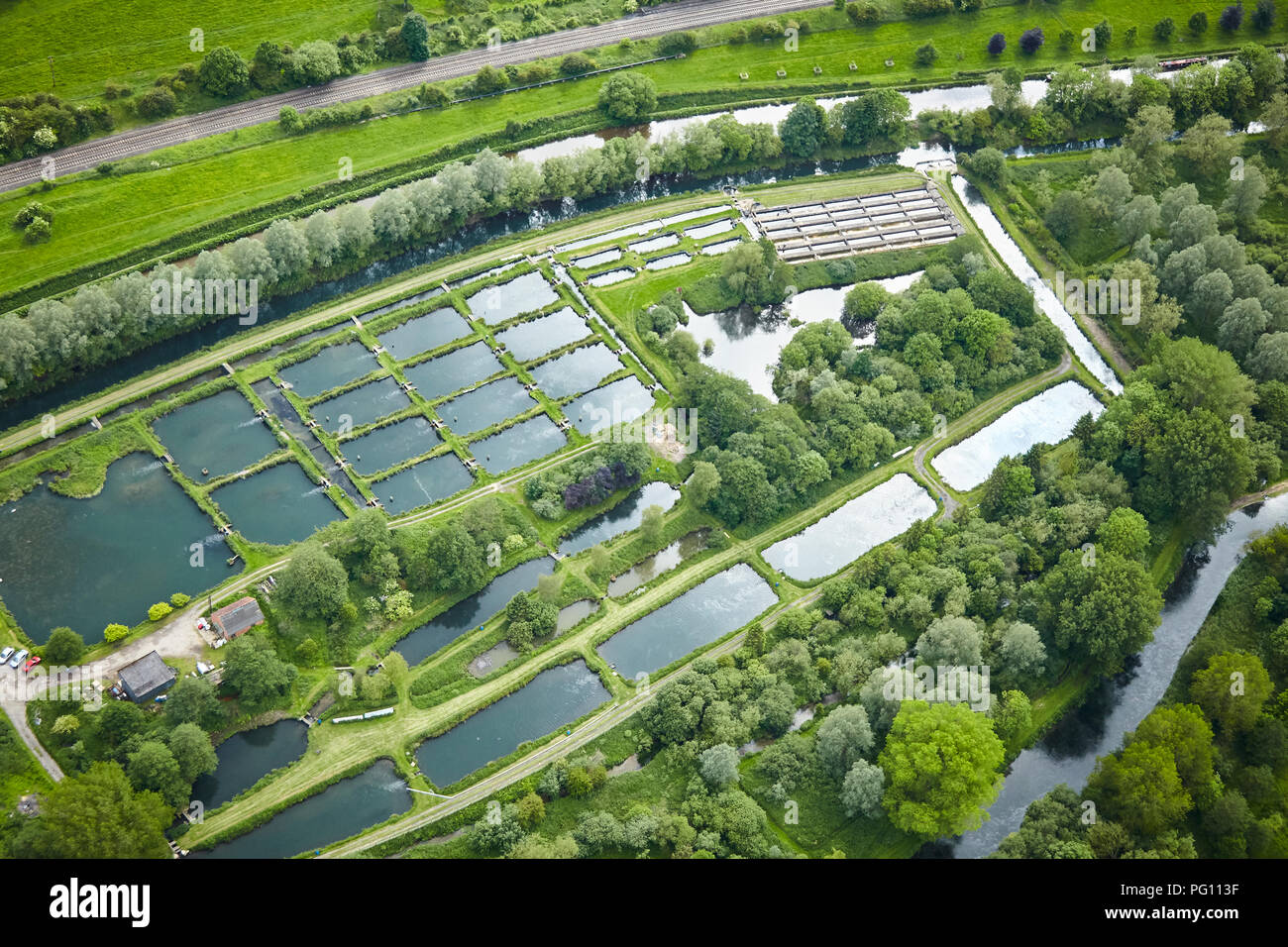 Fischzucht im Kennet Valley Stockfoto