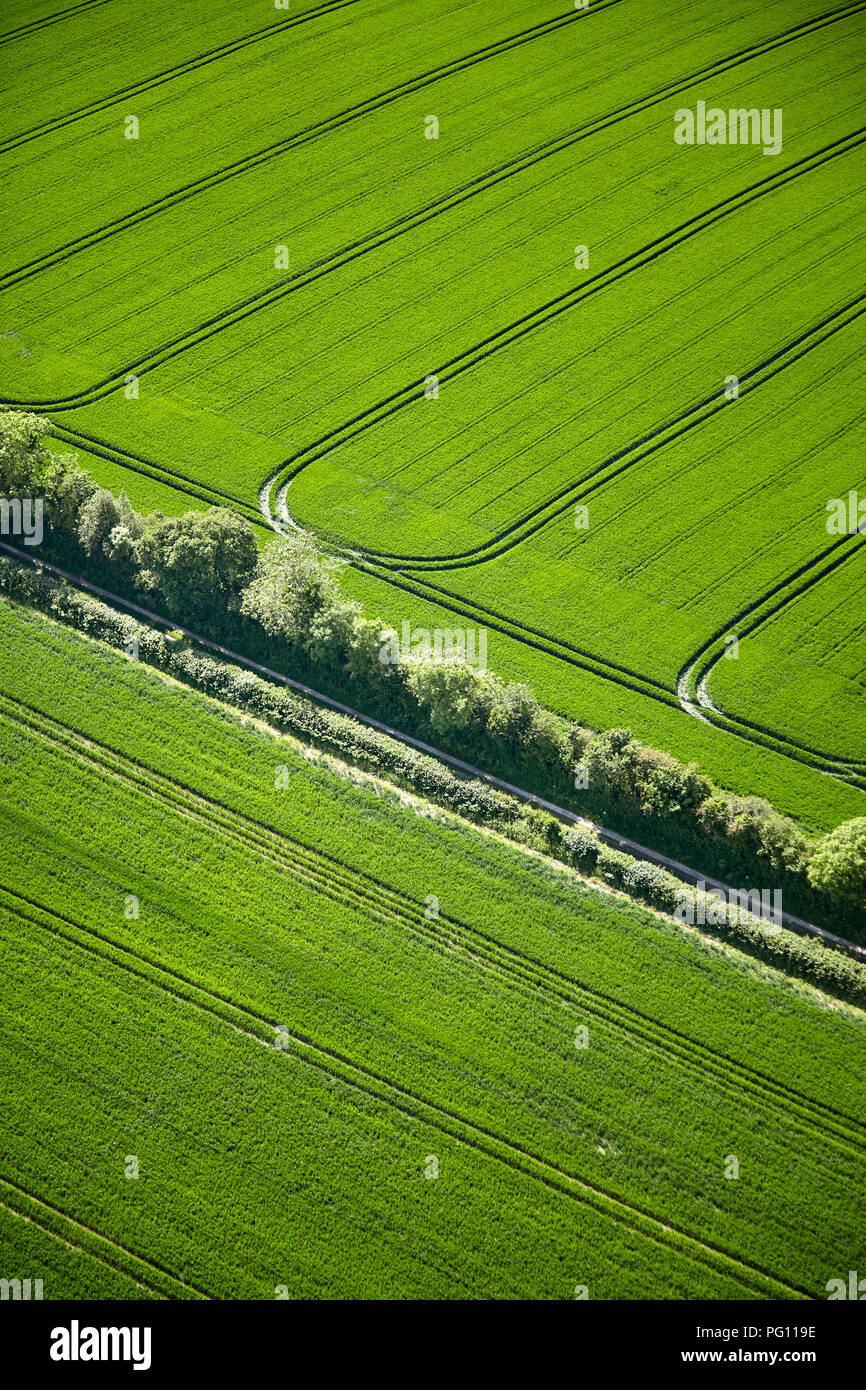 Luftaufnahme von Mustern in Wiltshire Felder Stockfoto