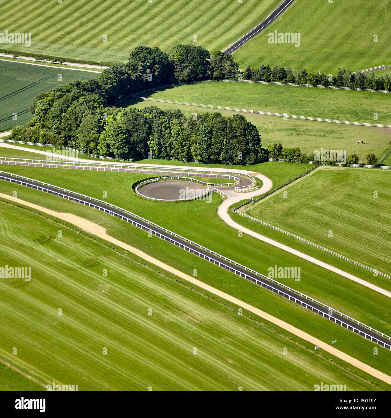 Luftbild des Galopps für Pferd Training mit Track & Ring in Wiltshire Stockfoto