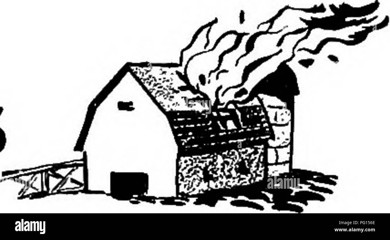 . Chestnut blight. Kastanienrindenkrebses; Kastanien. Verhindern FARM Brände Brände mehr als 3.000 töten farm Leute jedes Jahr, und schmerzhafte Verletzungen zu viele Tausende mehr verursachen. In Bauernhof wohnungen Feuer ist das Wichtigste "AUSE von Tod und Verletzungen unter jüngeren Leuten. Jedes Jahr Brände zerstören 133,000,000 $ Wert der landwirtschaftlichen Anwesen. ; Viel von diesem Verlust und Leid durch Vorsichtsmaßnahmen zur Vermeidung von Bränden oder bereit sind, diejenigen, die die ersten Schritte Steuern vermieden werden können. Bei einem Feuer - Stk auf Ihrem eigenen Bauernhof, halten Sie im Verstand, daß die Hauptursachen der Farm sind Brände -? Blitz? Unachtsames Rauchen? Funken auf Th Stockfoto