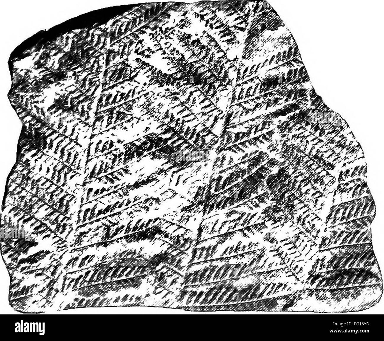 Herr wedel Fotos und Bildmaterial in hoher Auflösung Alamy